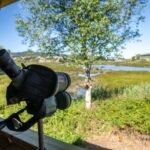 Observatorio de Aves Ramallosa 