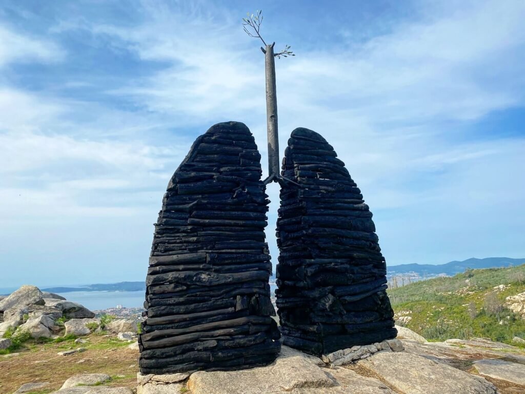Pulmones de Chandebrito