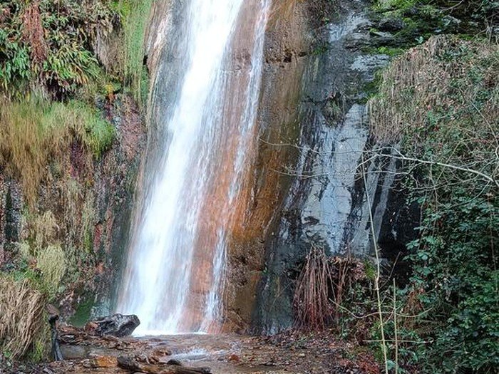 Fervenza de Rexio o Vilamor