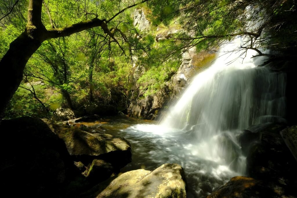 Fervenza de Fondós
