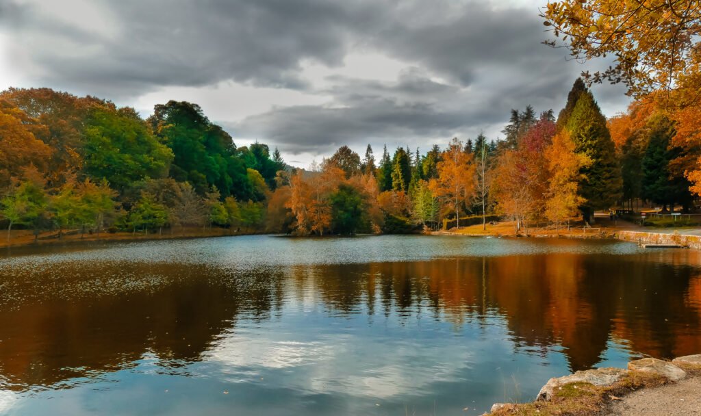 El Lago Castiñeiras